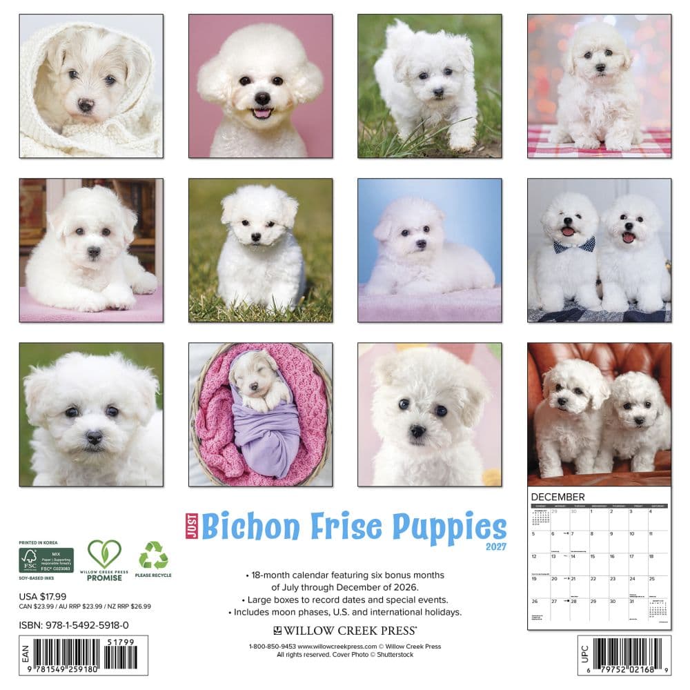 Just Bichon Frises Puppies 2027 Wall Calendar First Alternate Image