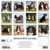 image Just Bernese Mountain Dogs 2027 Wall Calendar First Alternate Image