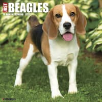image Just Beagles 2027 Wall Calendar Main Product Image