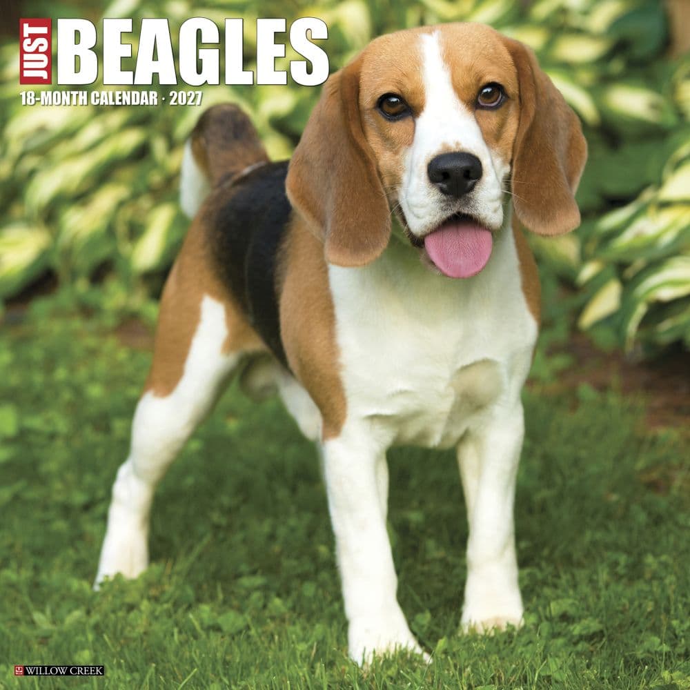 image Just Beagles 2027 Wall Calendar Main Product Image