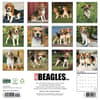 image Just Beagles 2027 Wall Calendar First Alternate Image