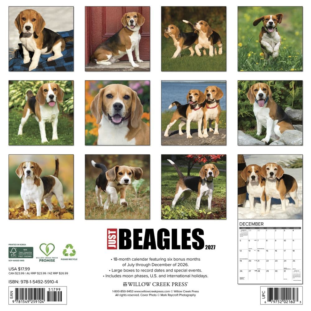 Just Beagles 2027 Wall Calendar First Alternate Image