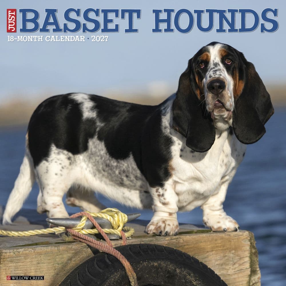 Just Basset Hounds 2027 Wall Calendar Main Product Image