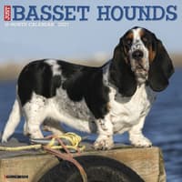image Just Basset Hounds 2027 Wall Calendar Main Product Image