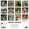 image Just Basset Hounds 2027 Wall Calendar First Alternate Image