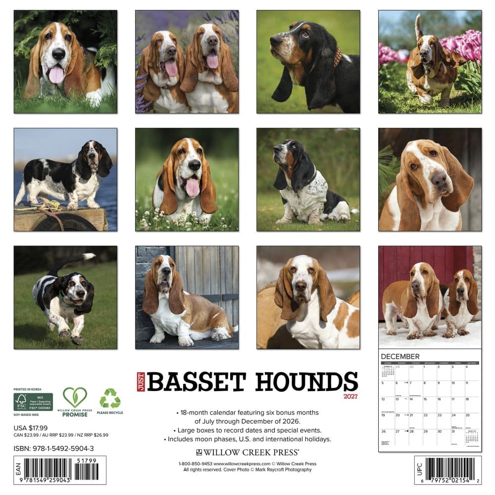 Just Basset Hounds 2027 Wall Calendar First Alternate Image