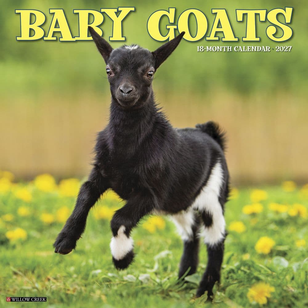 Baby Goats 2027 Wall Calendar Main Product Image