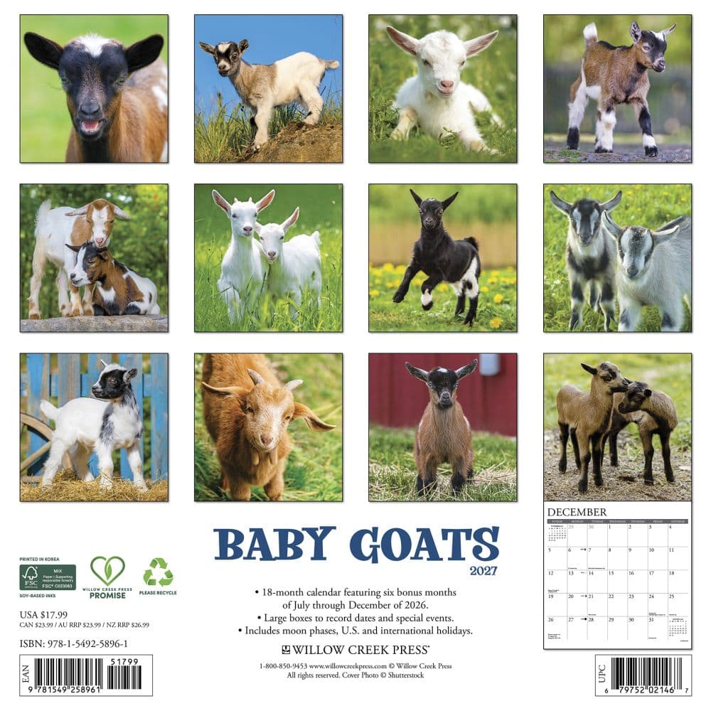 Baby Goats 2027 Wall Calendar First Alternate Image