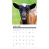 image Baby Goats 2027 Wall Calendar Second Alternate Image
