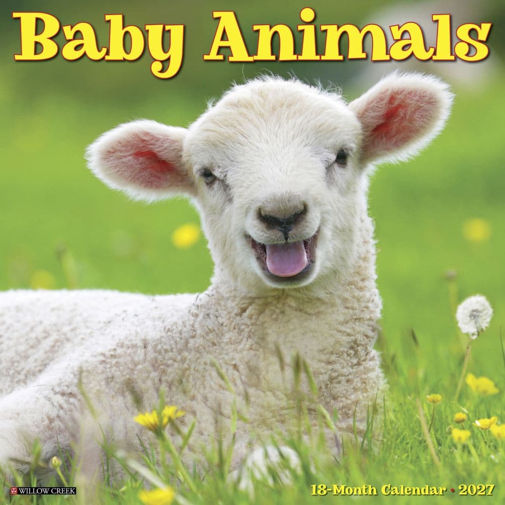 Baby Animals 2027 Wall Calendar