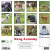 image Baby Animals 2027 Wall Calendar First Alternate Image