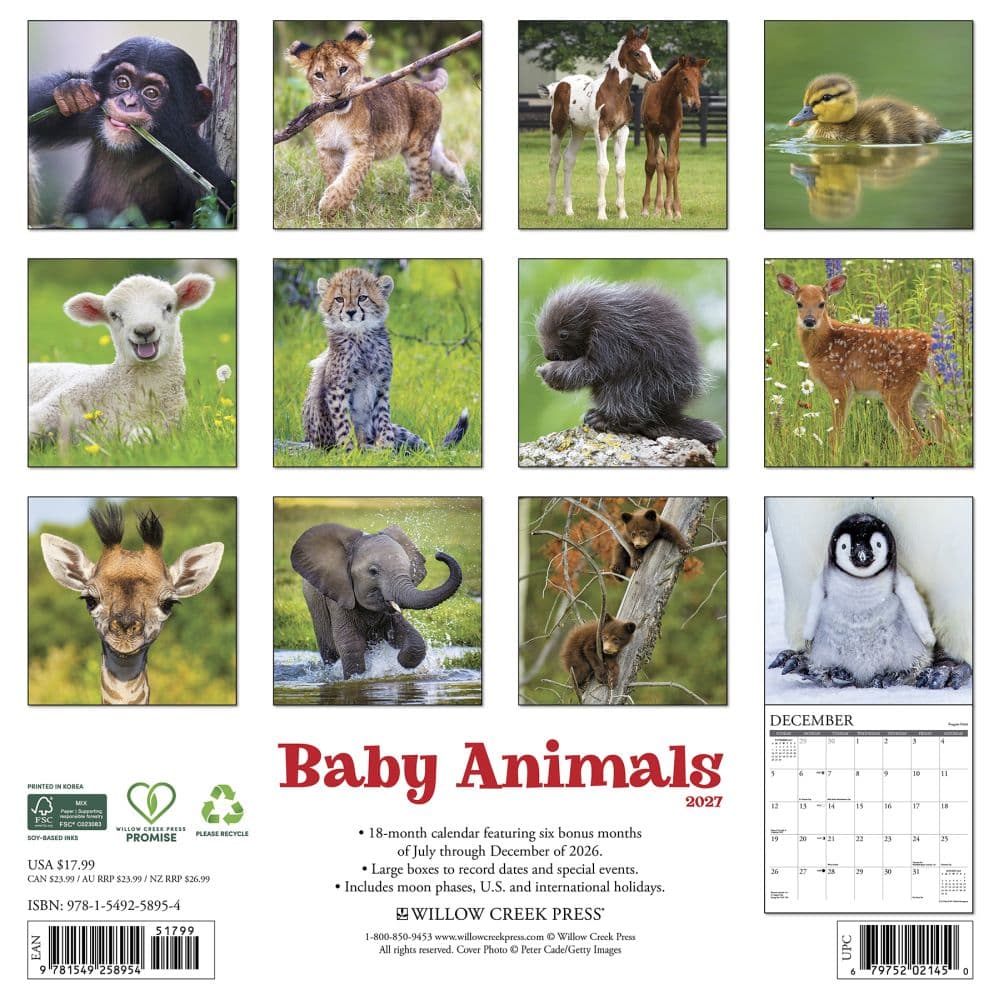 Baby Animals 2027 Wall Calendar First Alternate Image