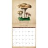 image Art of the Mushroom 2027 Wall Calendar Second Alternate Image