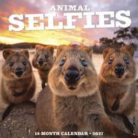 image Animal Selfies 2027 Wall Calendar Main Product Image