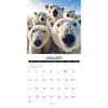 image Animal Selfies 2027 Wall Calendar Second Alternate Image