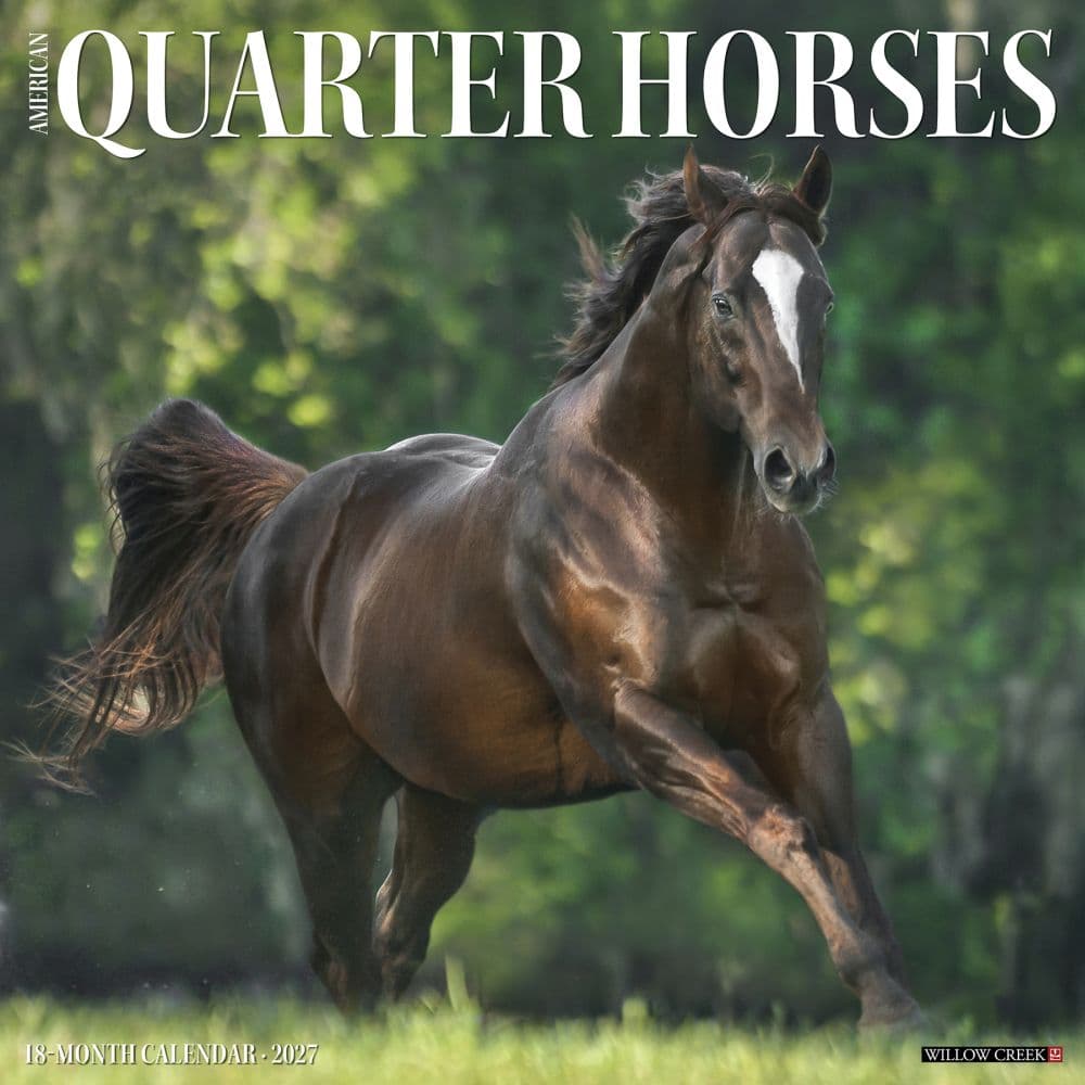 Quarter Horses 2027 Wall Calendar Main Product Image