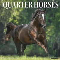 image Quarter Horses 2027 Wall Calendar Main Product Image