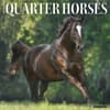 image Quarter Horses 2027 Wall Calendar Main Product Image