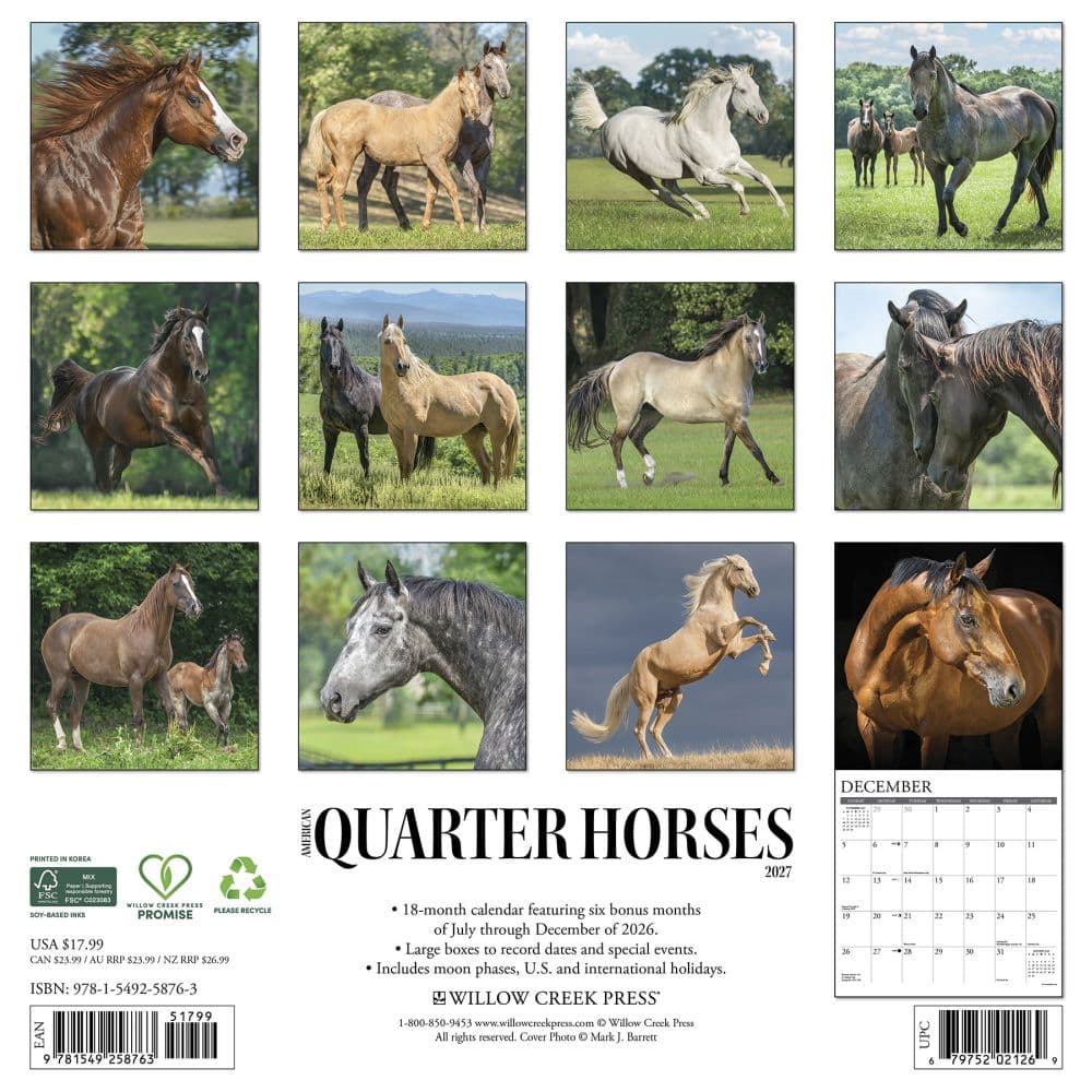 Quarter Horses 2027 Wall Calendar First Alternate Image