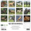 image Quarter Horses 2027 Wall Calendar First Alternate Image