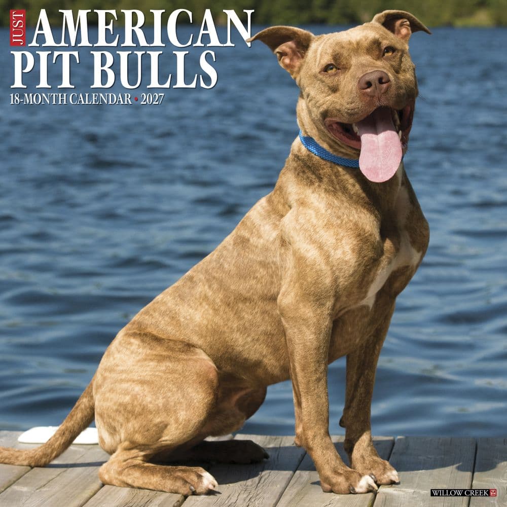 Just American Pit Bulls 2027 Wall Calendar Main Product Image