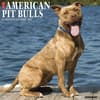 image Just American Pit Bulls 2027 Wall Calendar Main Product Image