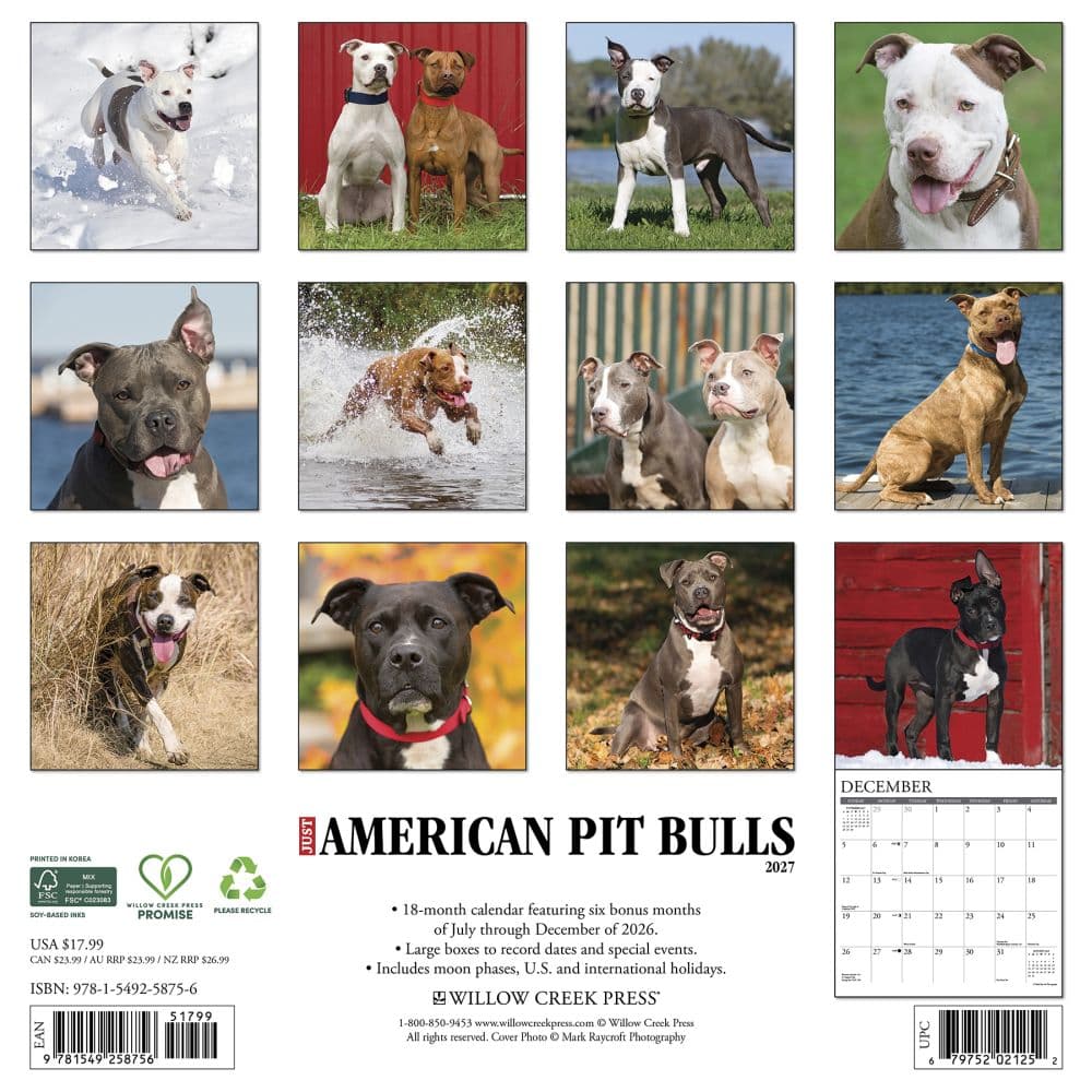 Just American Pit Bulls 2027 Wall Calendar First Alternate Image