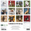 image Just American Pit Bulls 2027 Wall Calendar First Alternate Image