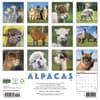 image Alpacas 2027 Wall Calendar First Alternate Image