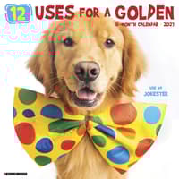 image 12 Uses For A Golden 2027 Wall Calendar Main Product Image