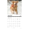 image 12 Uses For A Golden 2027 Wall Calendar Second Alternate Image