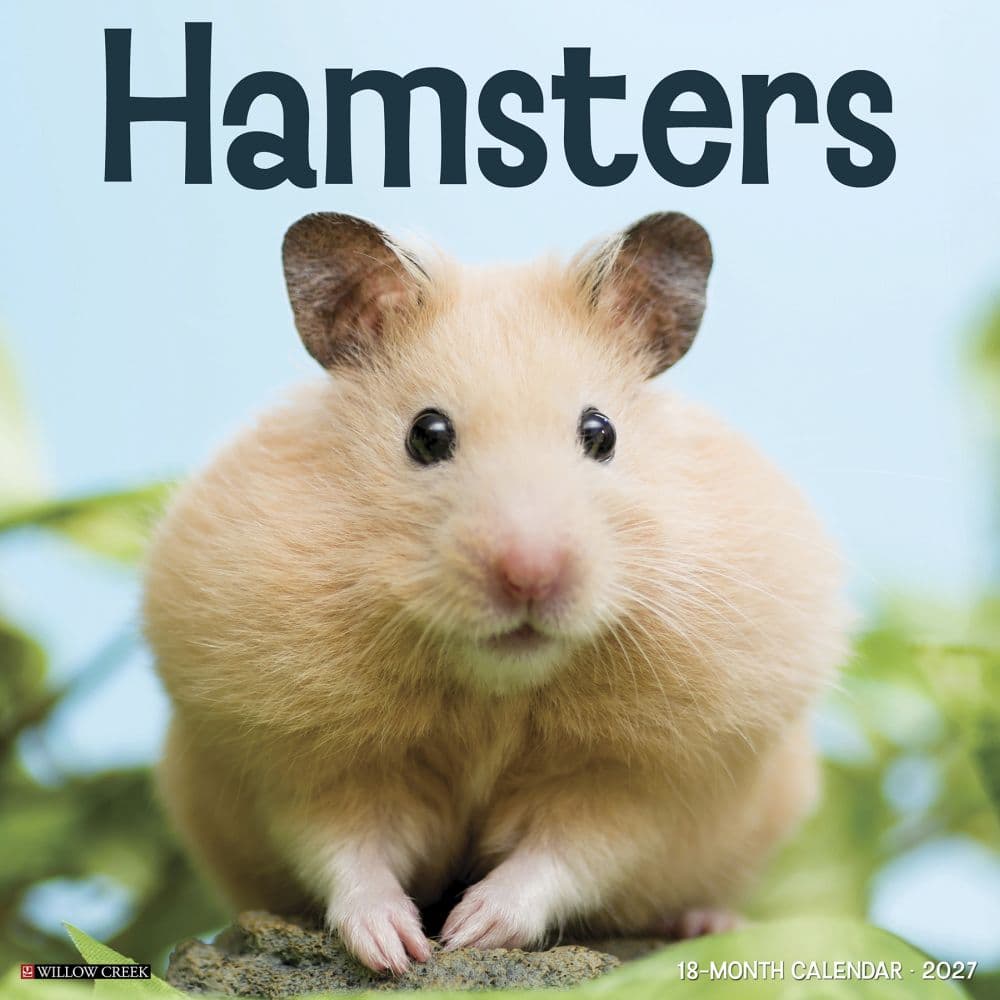 image Hamsters 2027 Wall Calendar Main Product Image
