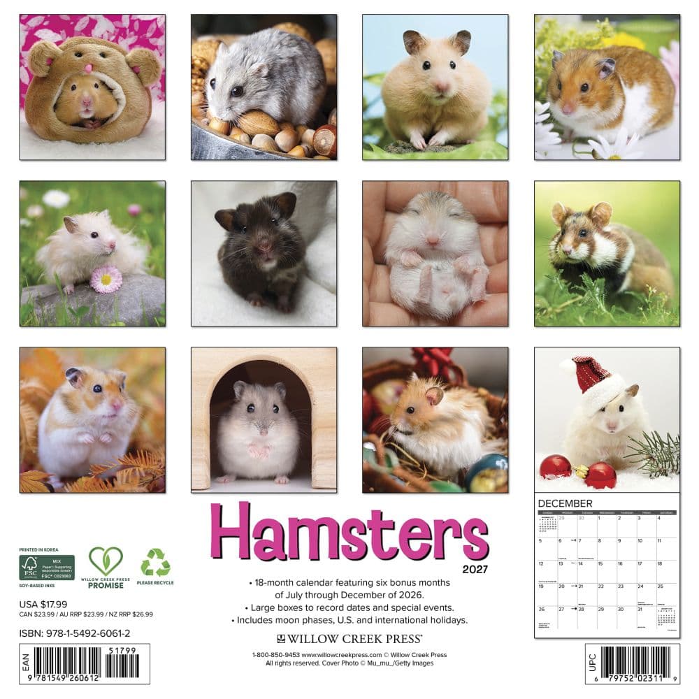 Hamsters 2027 Wall Calendar First Alternate Image
