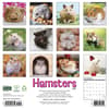image Hamsters 2027 Wall Calendar First Alternate Image