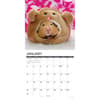 image Hamsters 2027 Wall Calendar Second Alternate Image