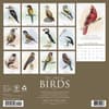 image Art of Birds 2027 Wall Calendar First Alternate Image