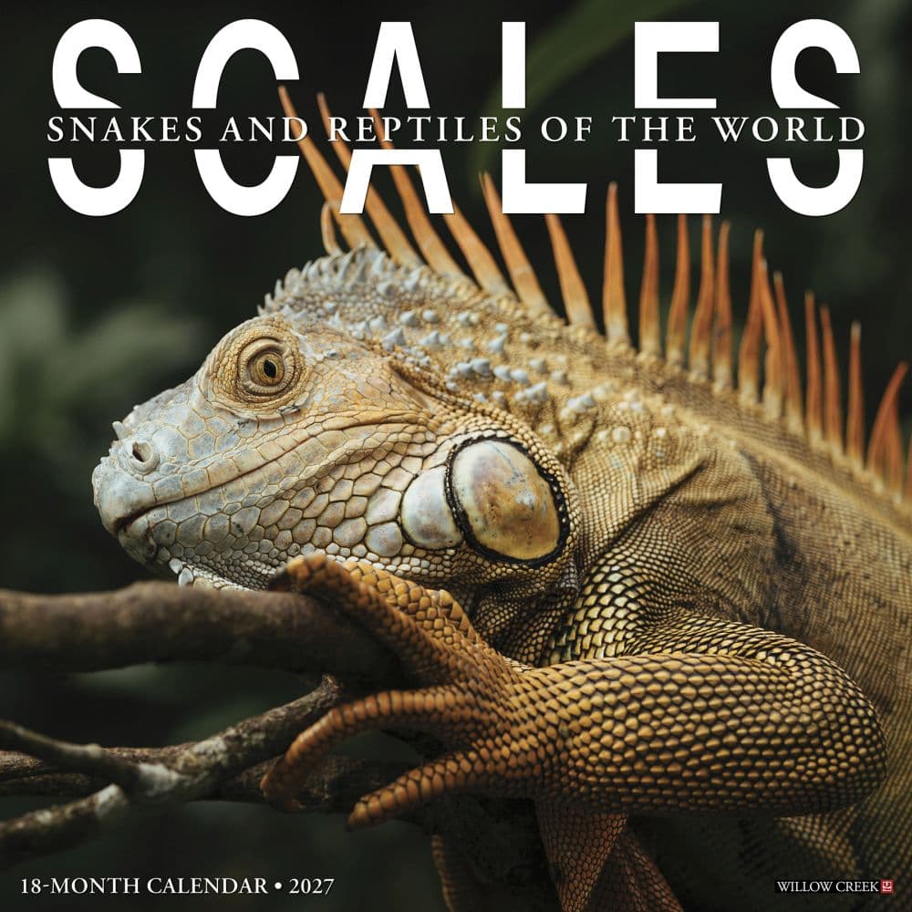 Scales 2027 Wall Calendar Main Product Image