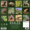 image Scales 2027 Wall Calendar First Alternate Image