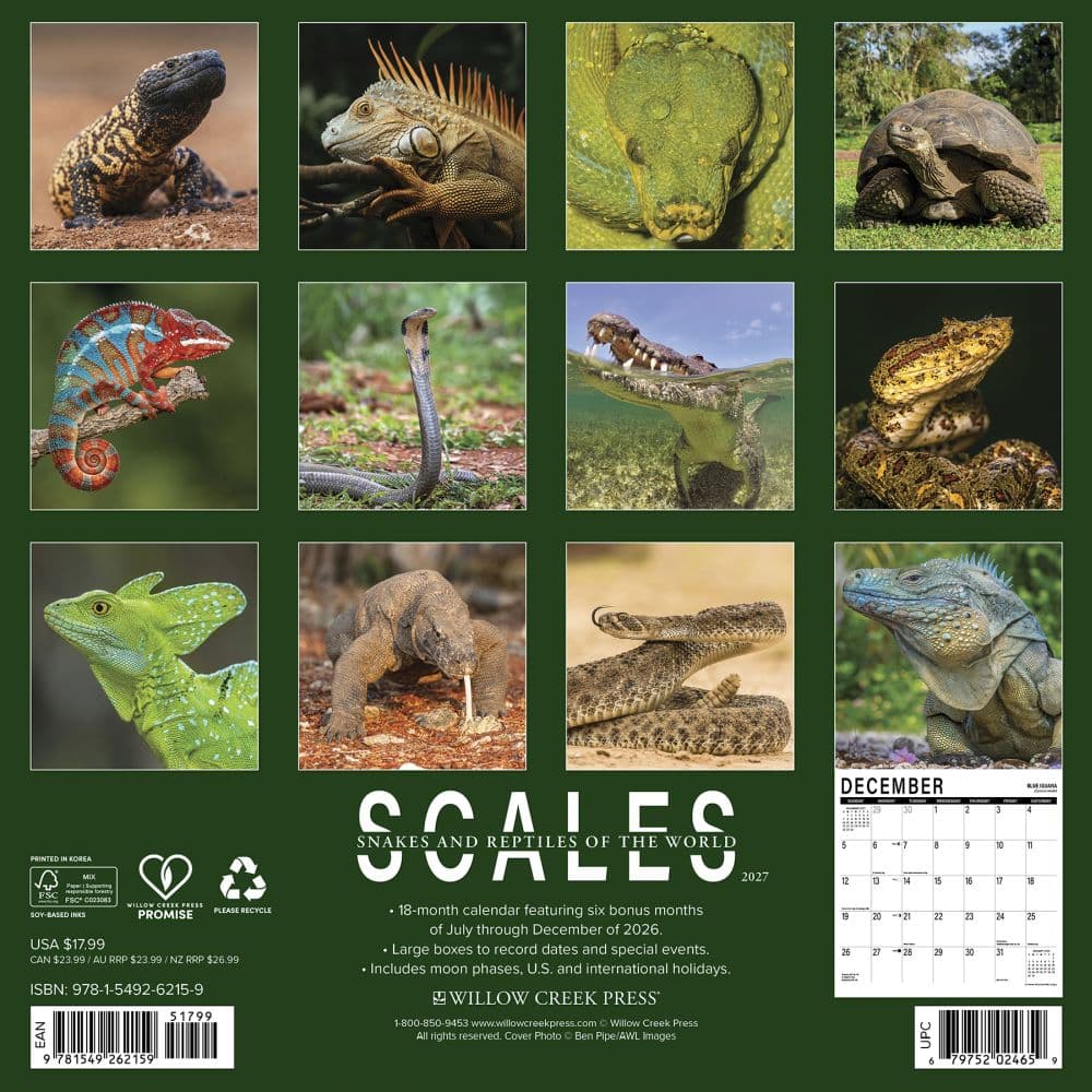 Scales 2027 Wall Calendar First Alternate Image