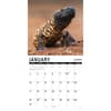 image Scales 2027 Wall Calendar Second Alternate Image