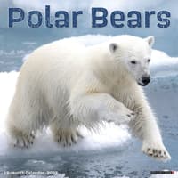 image Polar Bears 2027 Wall Calendar Main Product Image