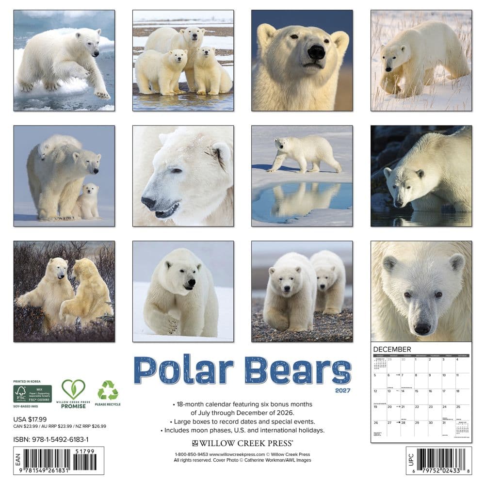 Polar Bears 2027 Wall Calendar First Alternate Image