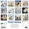 image Polar Bears 2027 Wall Calendar First Alternate Image