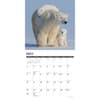 image Polar Bears 2027 Wall Calendar Second Alternate Image