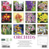 image Orchids 2027 Wall Calendar First Alternate Image