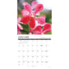 image Orchids 2027 Wall Calendar Second Alternate Image