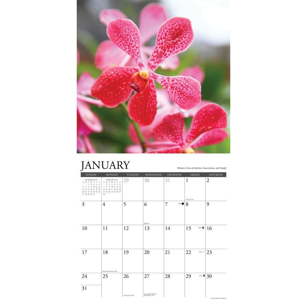 Orchids 2027 Wall Calendar Second Alternate Image