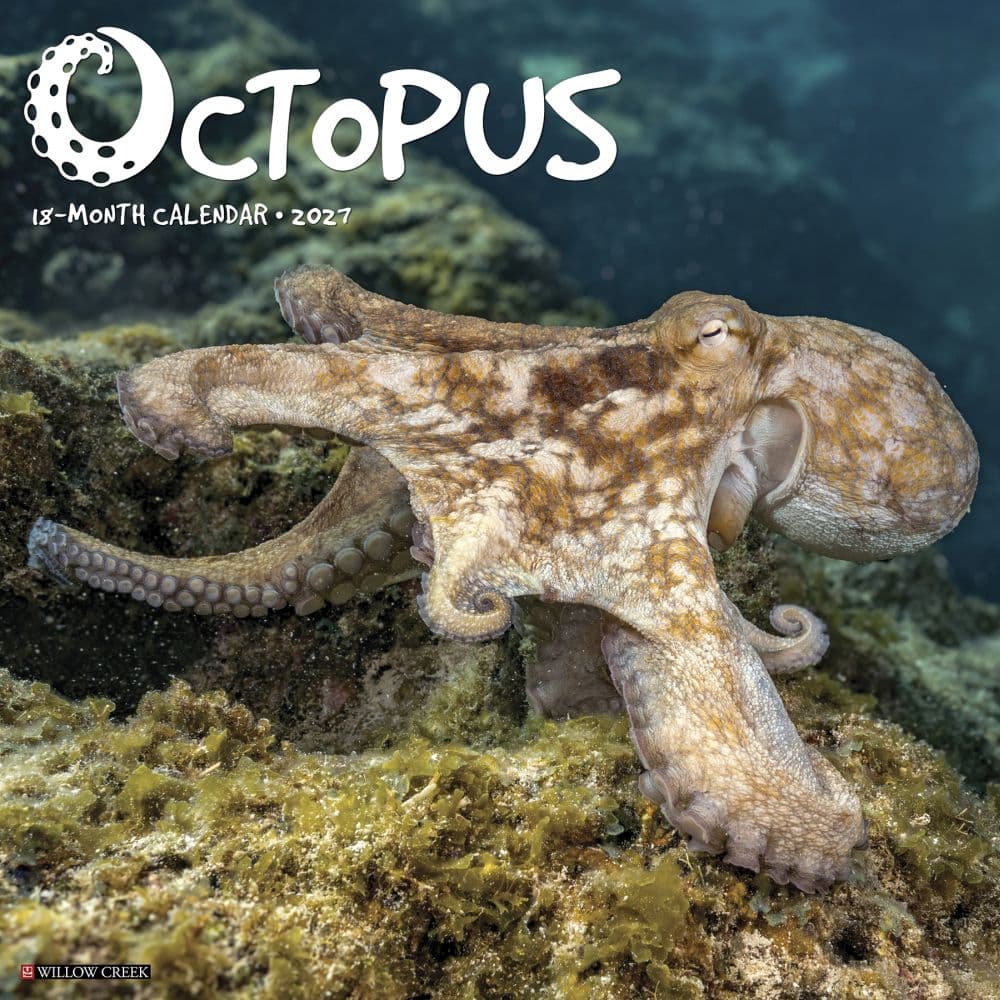 Octopus 2027 Wall Calendar Main Product Image