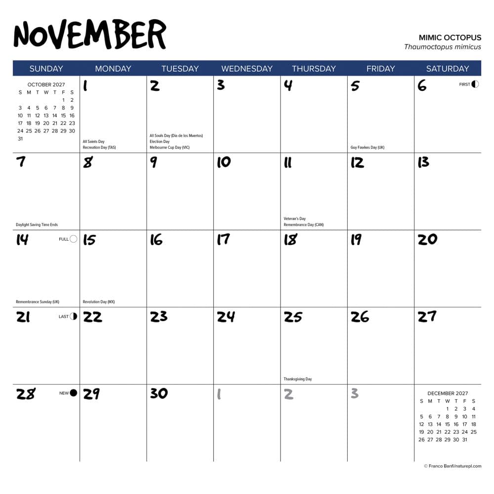 Octopus 2027 Wall Calendar First Alternate Image