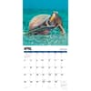 image Octopus 2027 Wall Calendar Second Alternate Image